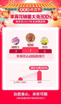 年宵花销量大涨300%,淘菜菜发布2023年货消费趋势