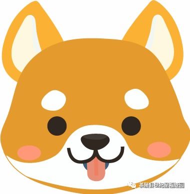 世纪星福娃幼儿园 回归自然 亲子体验 开启智慧 户外拓展 活动